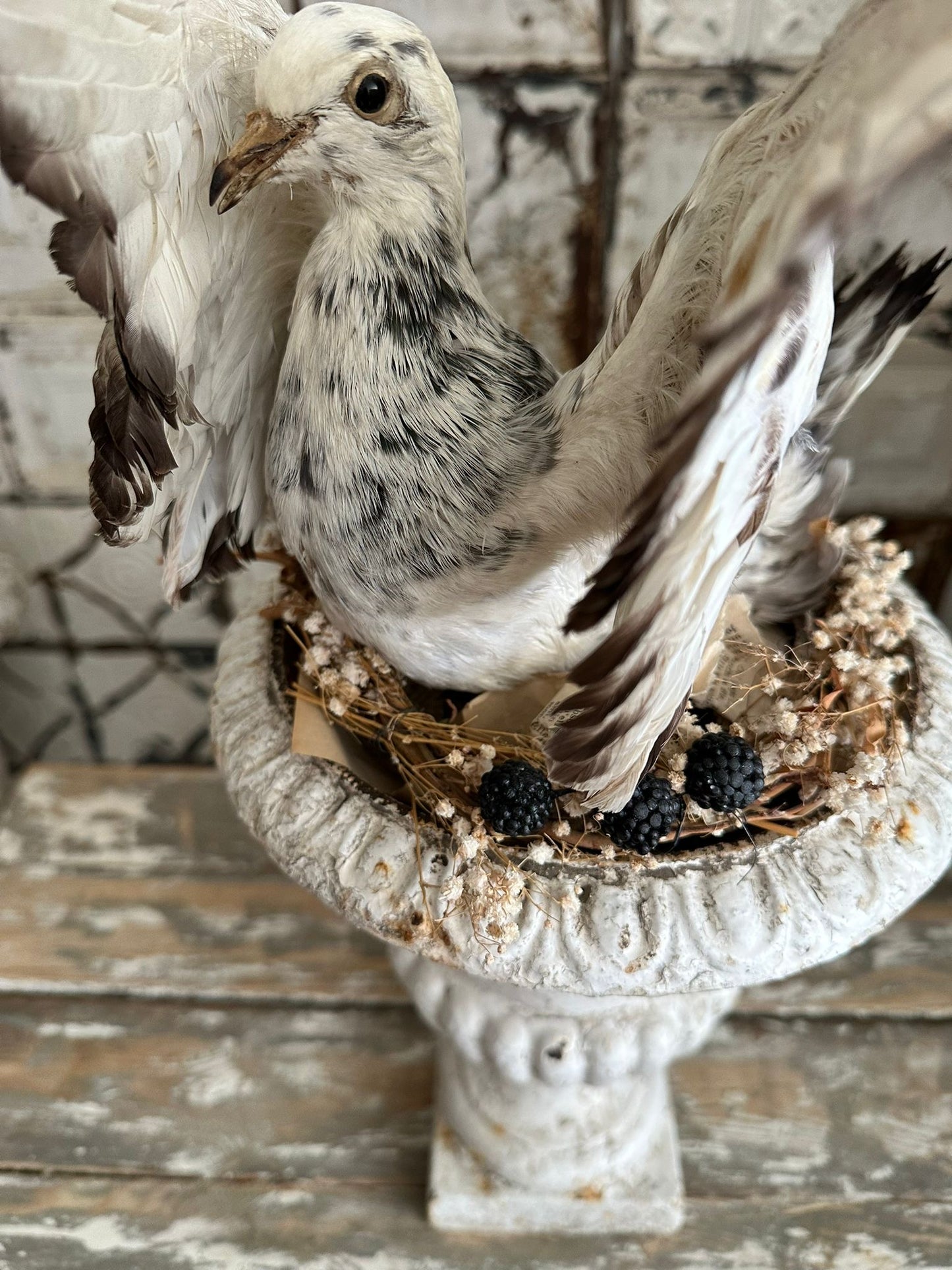 Late 19th Century French urn.