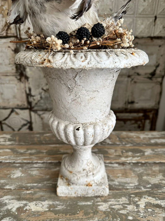 Late 19th Century French urn.